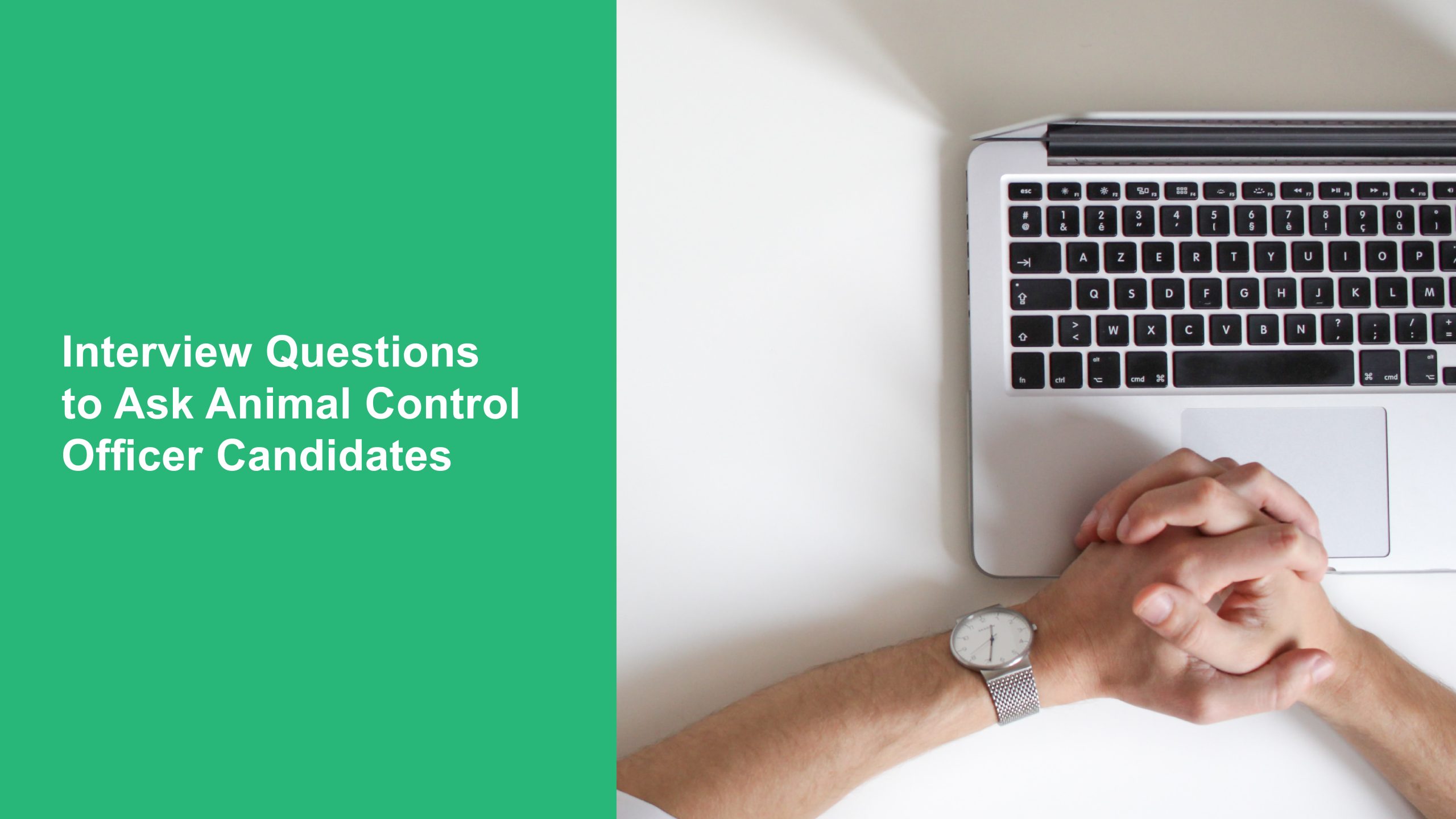 Animal Control Workers