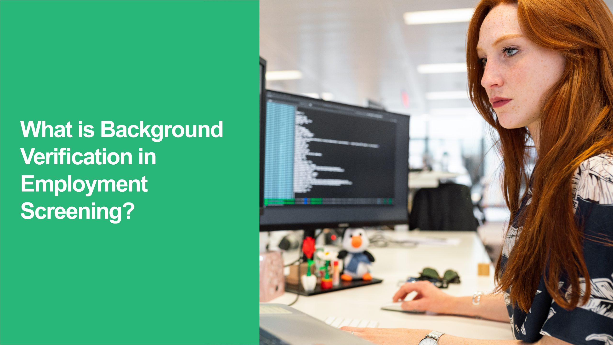 Background Verification