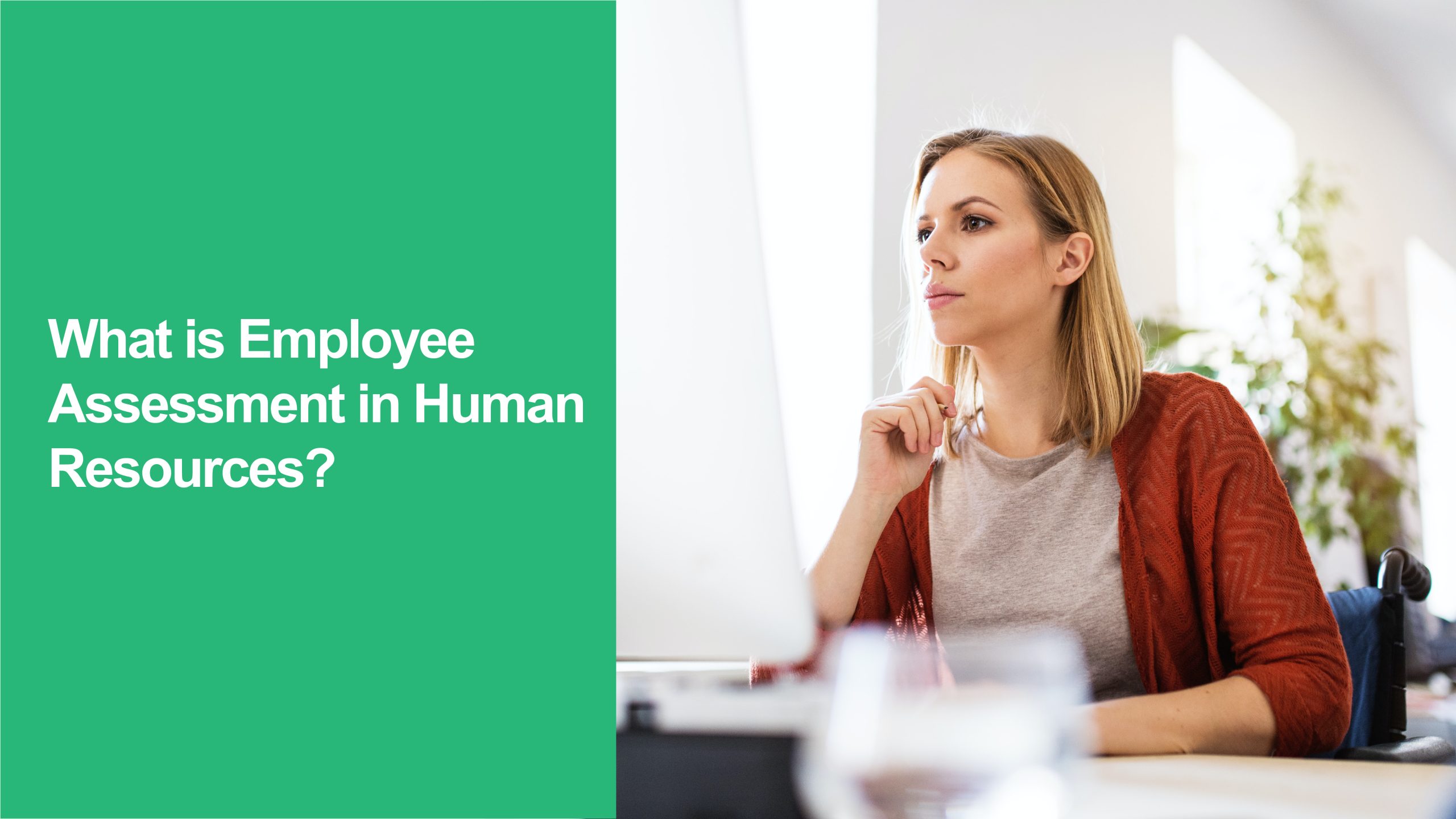 Employee Assessments