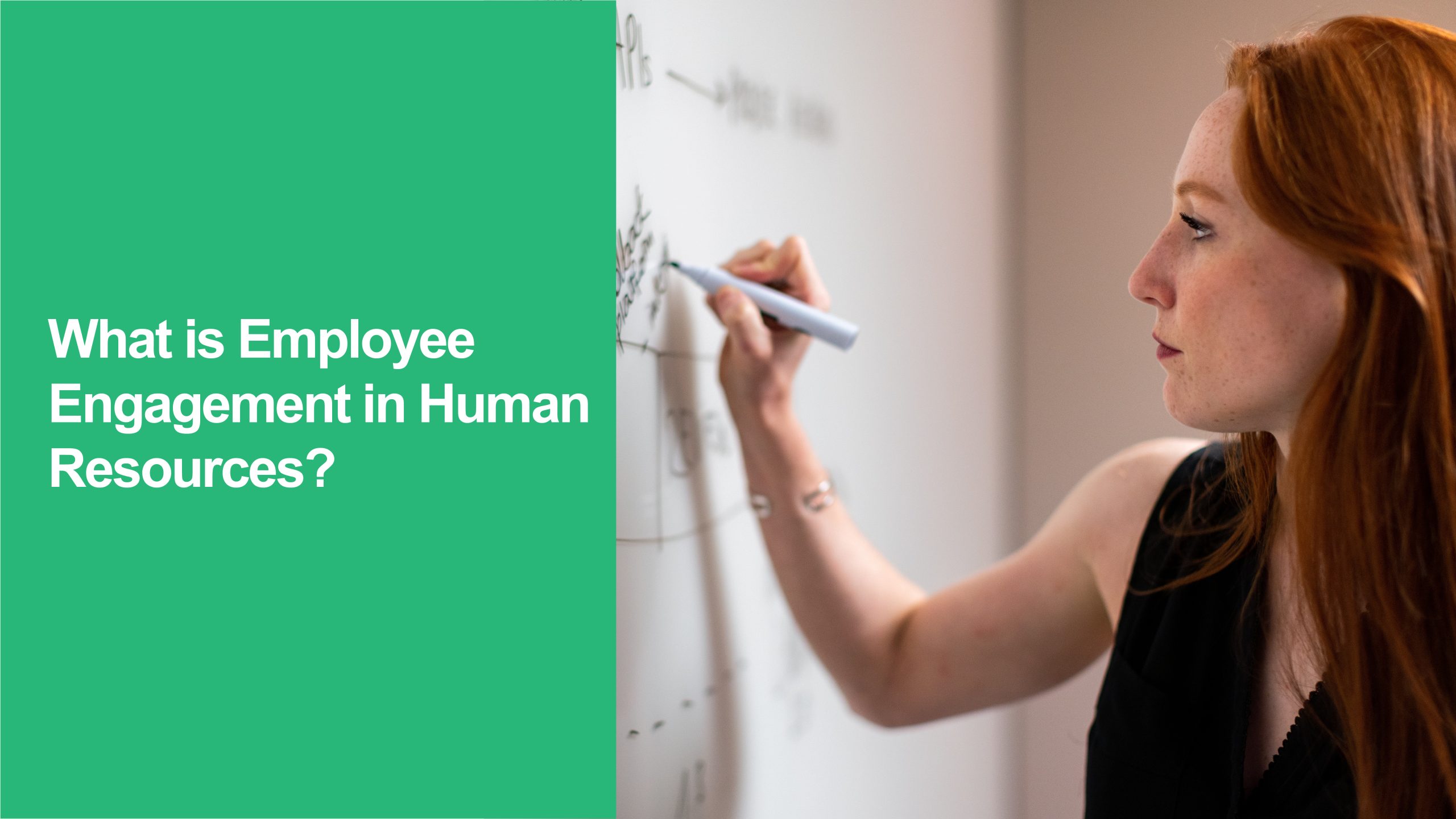 Employee Engagement in HR
