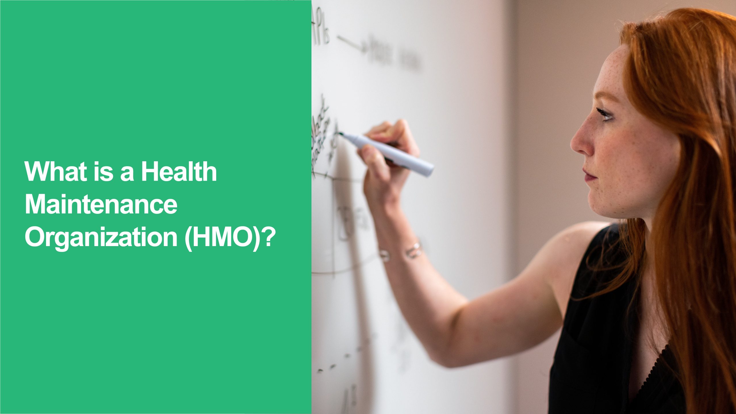 Health Maintenance Organization (HMO)