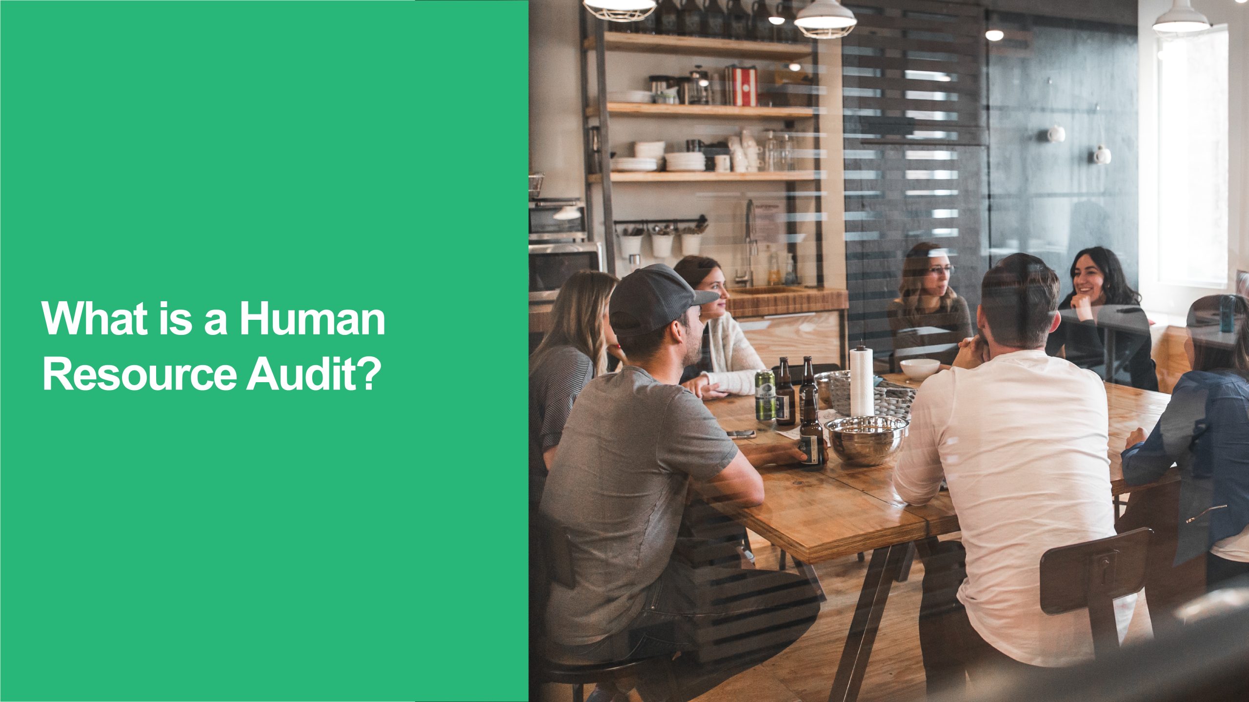 Human Resource Audit