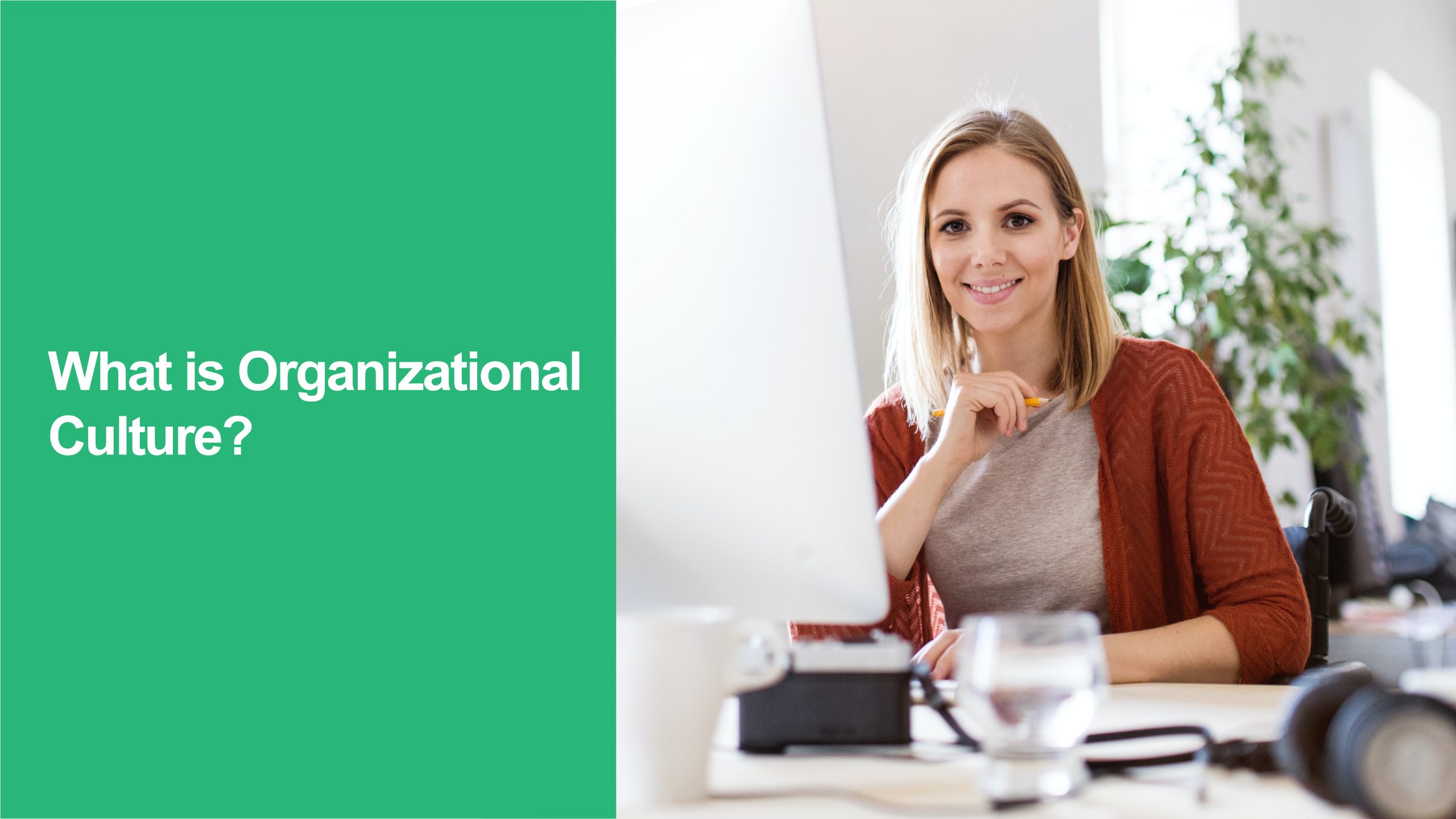 Organizational Culture