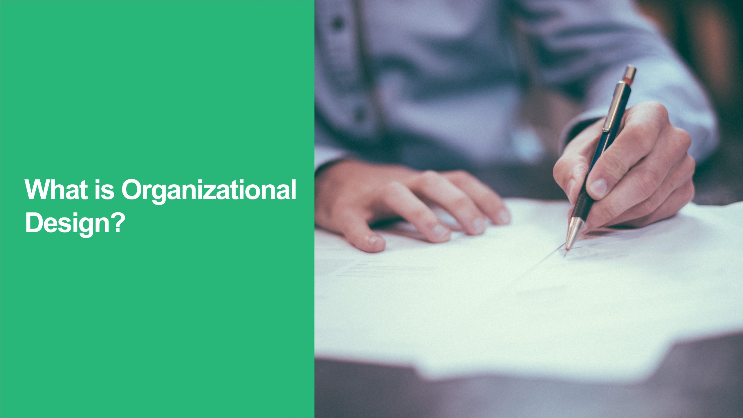 Organizational Design