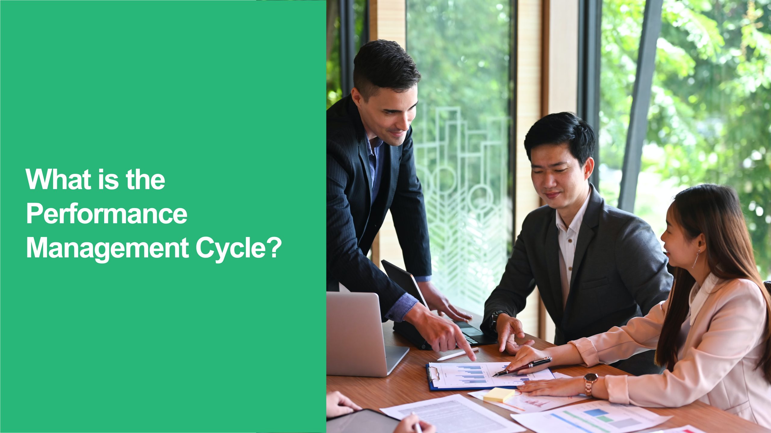 Performance Management Cycle